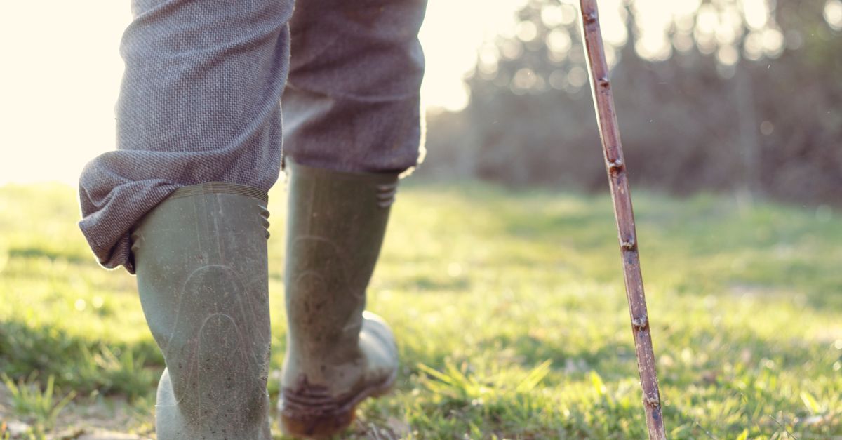 Close-up of a person walking outdoors in rubber boots with a wooden stick.